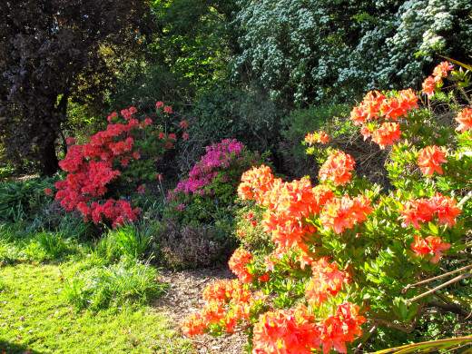 601537 (a): :2560x1920